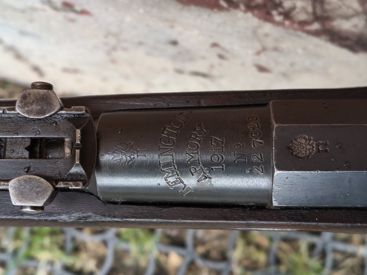 Mosin 1891 Remington 1917r 7,62x53r